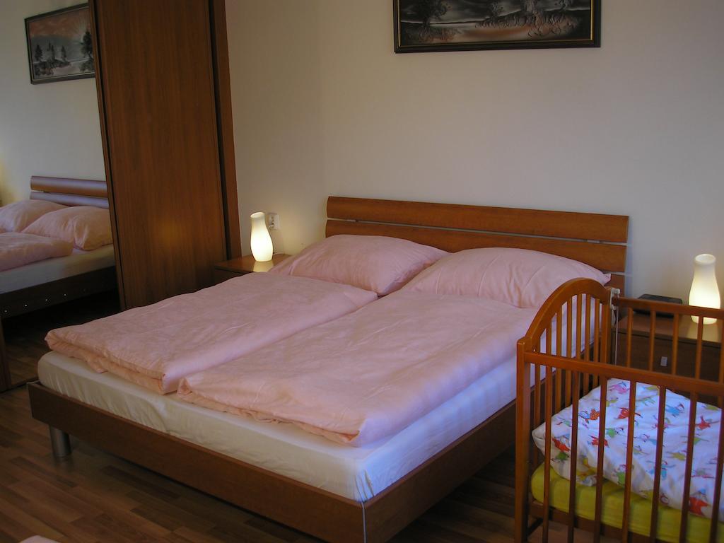 Apartment Accommodation Up To 17 Pozsony Kültér fotó