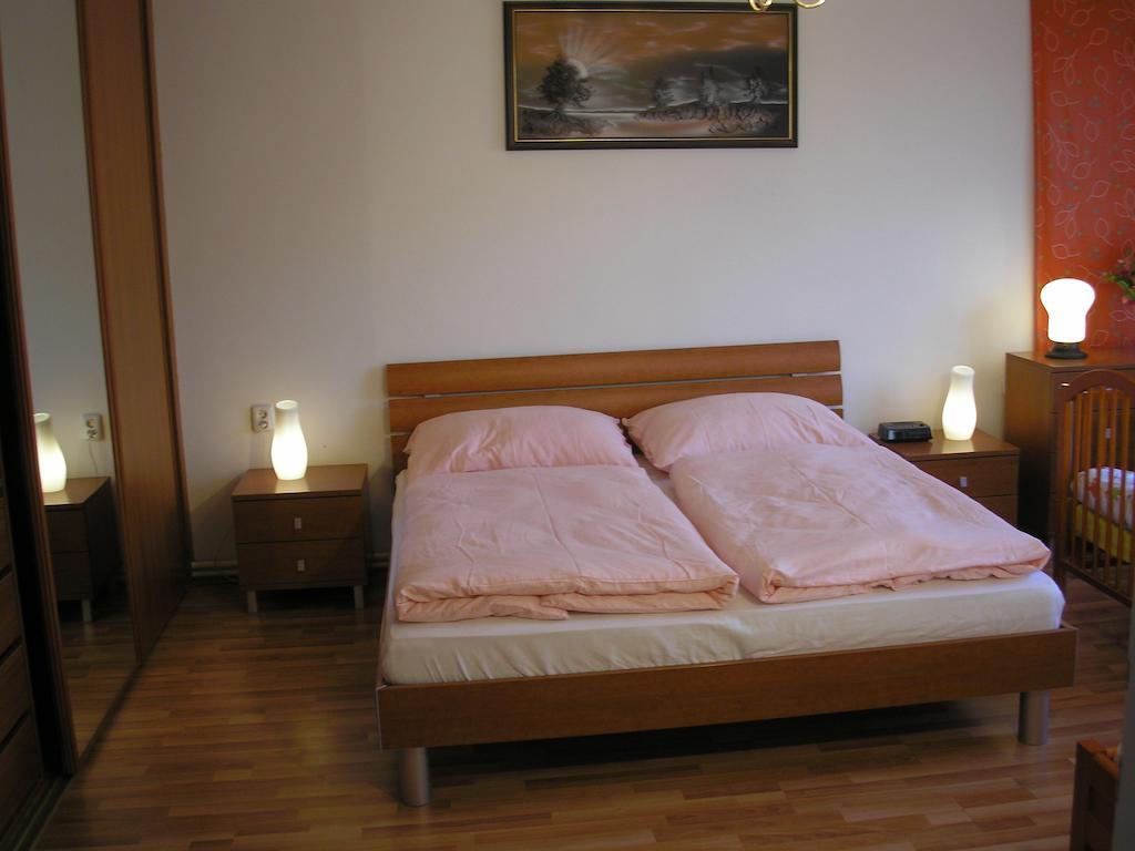 Apartment Accommodation Up To 17 Pozsony Kültér fotó